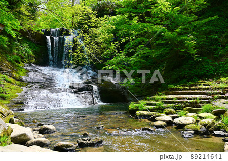 木窪大滝　新緑　津幡町 89214641