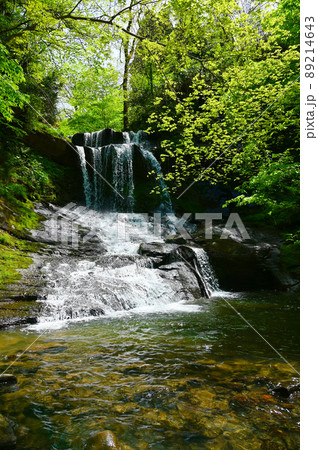 木窪大滝　新緑　津幡町 89214643