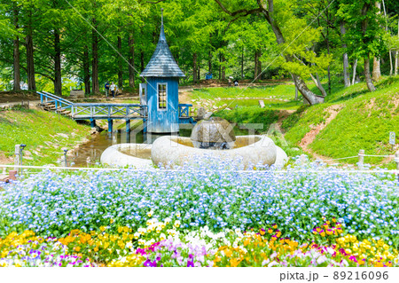 花畑と水浴び小屋 89216096