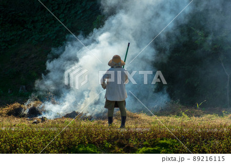 草取り 草取り 89216115