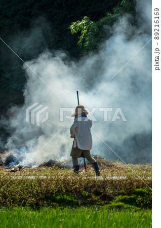 草取り 草取り 89216169