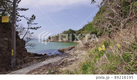 日本海と田万川漁港 日本海と田万川漁港 89216195