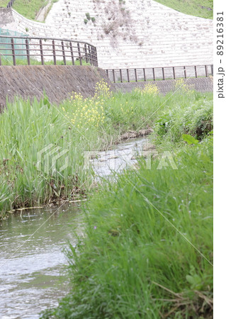 流れる小川 89216381