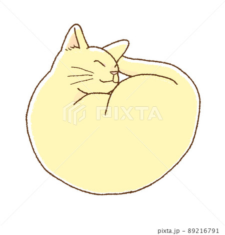 丸まって寝る猫のイラスト素材