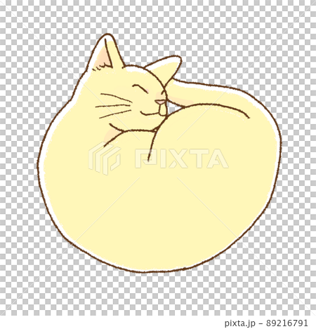 丸まって寝る猫 89216791