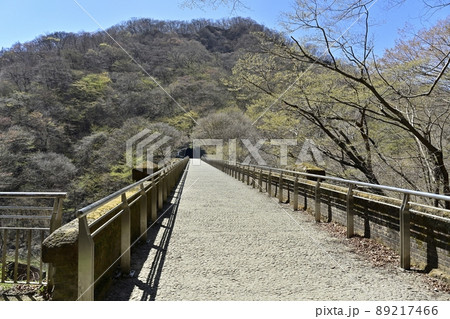 旧信越本線の碓氷峠~横川間の廃線跡のレンガ造りの第3橋梁(めがね橋)の線路跡 旧信越本線の碓氷峠~横川間の廃線跡のレンガ造りの第3橋梁(めがね橋)の線路跡 89217466