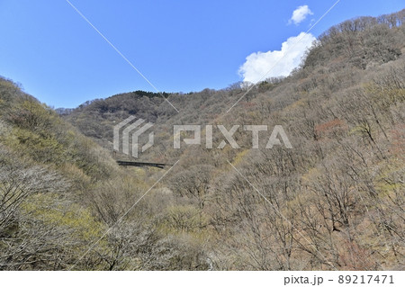 旧信越本線新線の碓氷峠~横川間の廃線跡鉄橋 旧信越本線新線の碓氷峠~横川間の廃線跡鉄橋 89217471