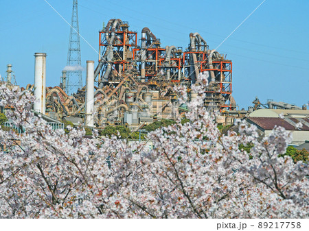 福岡県苅田町の桜の名所向山公園から臨海工場遠望 89217758