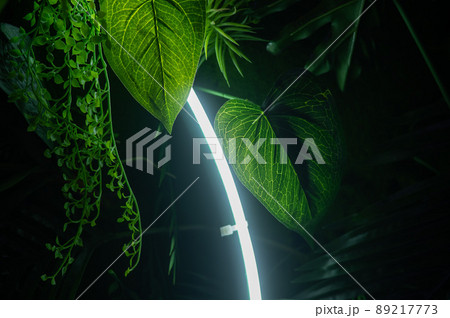 Neon lamp among green foliage. Stylish decor. Neon lamp among green foliage. Stylish decor. 89217773
