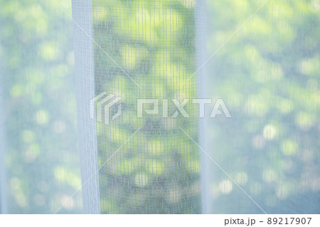 Close up curtain window with green garden background Close up curtain window with green garden background 89217907