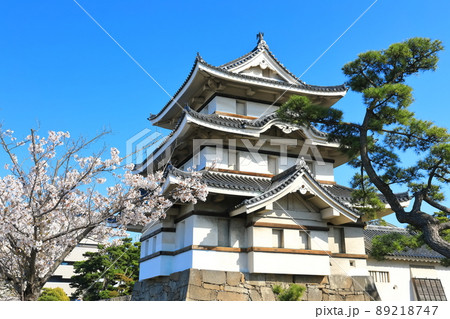 【香川県】晴天下の高松城　月見櫓と満開の桜（玉藻公園） 89218747