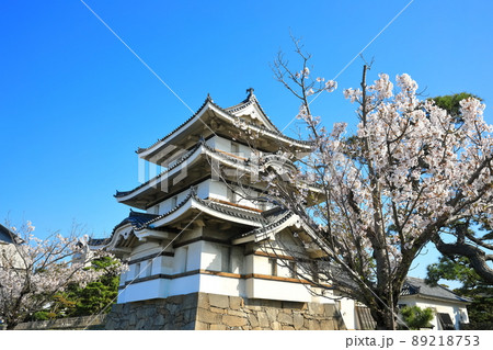 【香川県】晴天下の高松城　月見櫓と満開の桜（玉藻公園） 89218753