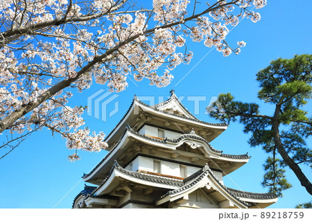 【香川県】晴天下の高松城　月見櫓と満開の桜（玉藻公園） 89218759