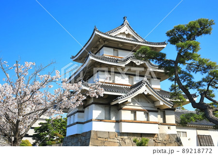 【香川県】晴天下の高松城　月見櫓と満開の桜（玉藻公園） 89218772
