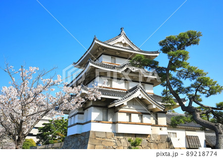 【香川県】晴天下の高松城 月見櫓と満開の桜(玉藻公園) 【香川県】晴天下の高松城 月見櫓と満開の桜(玉藻公園) 89218774