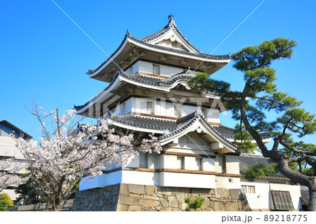 【香川県】晴天下の高松城　月見櫓と満開の桜（玉藻公園） 89218775