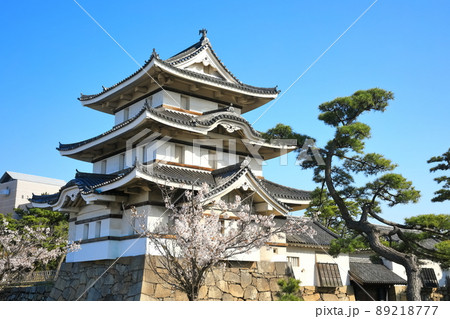 【香川県】晴天下の高松城　月見櫓と満開の桜（玉藻公園） 89218777