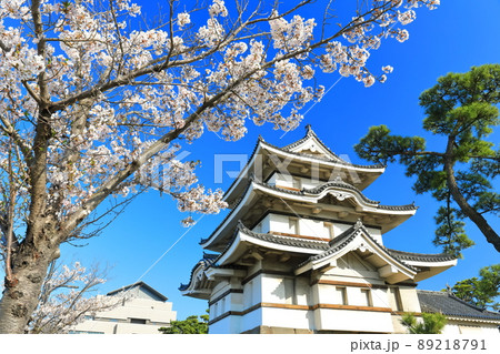 【香川県】晴天下の高松城　月見櫓と満開の桜（玉藻公園） 89218791
