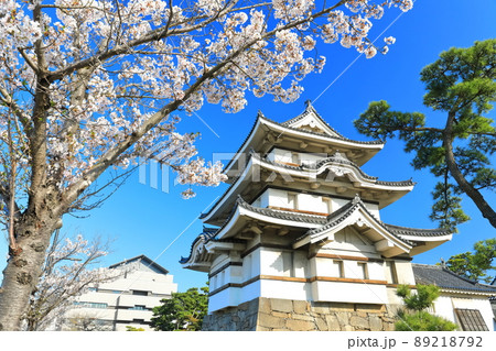 【香川県】晴天下の高松城　月見櫓と満開の桜（玉藻公園） 89218792