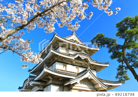 【香川県】晴天下の高松城 月見櫓と満開の桜(玉藻公園) 【香川県】晴天下の高松城 月見櫓と満開の桜(玉藻公園) 89218798