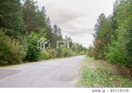 country road in summer sunny day day country road in summer sunny day day 89219239