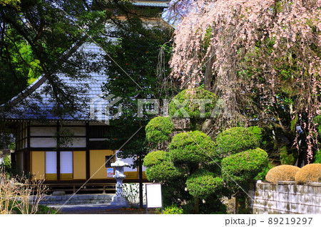 あきる野市 地蔵院の桜 あきる野市 地蔵院の桜 89219297