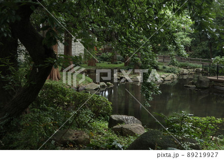 林試の森公園 林試の森公園 89219927