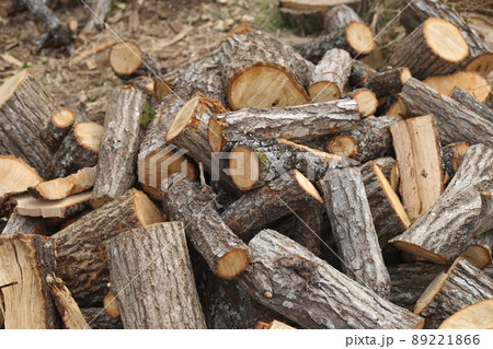 ナラ原木 玉切り