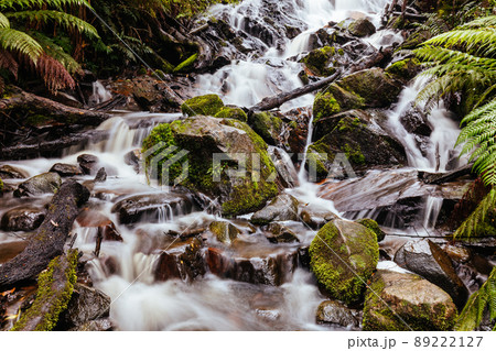 Cora Lynn Falls in Marysville Australia Cora Lynn Falls in Marysville Australia 89222127