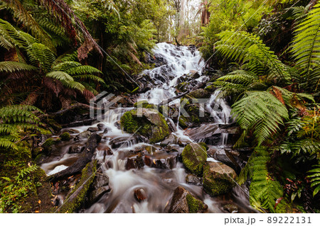 Cora Lynn Falls in Marysville Australia 89222131
