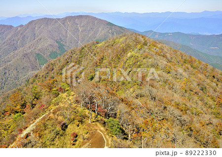紅葉の丹沢山地 檜洞丸より丹沢主稜の熊笹ノ峰と大室山を望む 紅葉の丹沢山地 檜洞丸より丹沢主稜の熊笹ノ峰と大室山を望む 89222330