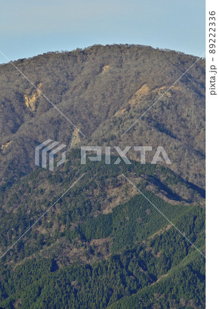 丹沢の大山三峰山より日本百名山の丹沢山を望む 丹沢の大山三峰山より日本百名山の丹沢山を望む 89222336
