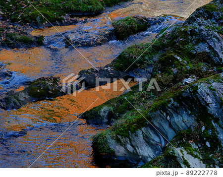 晩秋の別子銅山川の渓谷 89222778