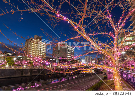 目黒川冬の桜イルミネーション　東京冬風景 89222943