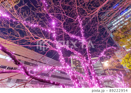目黒川冬の桜イルミネーション 東京冬風景 目黒川冬の桜イルミネーション 東京冬風景 89222954