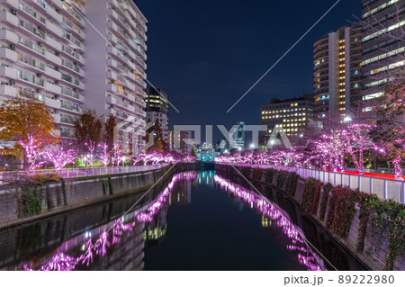 目黒川冬の桜イルミネーション　東京冬風景 89222980