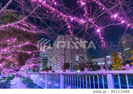 目黒川冬の桜イルミネーション　東京冬風景 89222986