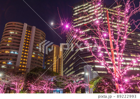 目黒川冬の桜イルミネーション　東京冬風景 89222993