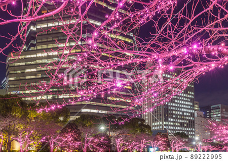 目黒川冬の桜イルミネーション　東京冬風景 89222995