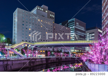 目黒川冬の桜イルミネーション　東京冬風景 89223000