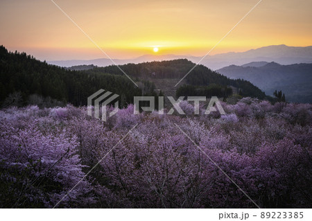 福島県　桜峠の夕焼け 89223385