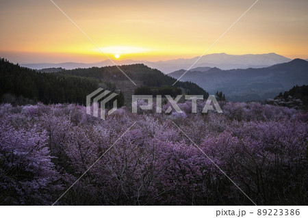 福島県　桜峠の夕焼け 89223386