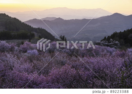 福島県　桜峠の夕焼け 89223388