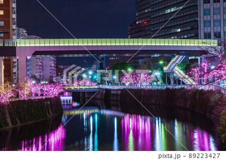 目黒川冬の桜イルミネーション　東京冬風景 89223427
