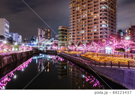 目黒川冬の桜イルミネーション　東京冬風景 89223437