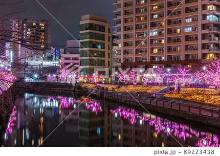 目黒川冬の桜イルミネーション 東京冬風景 目黒川冬の桜イルミネーション 東京冬風景 89223438