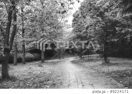 公園の小道白黒 公園の小道白黒 89224171