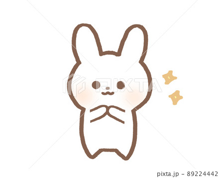 お願いするうさぎ お願いするうさぎ 89224442