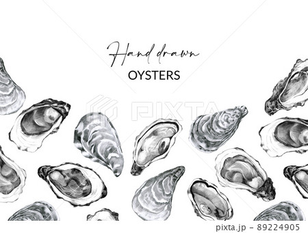 Menu design with hand drawn oysters 89224905