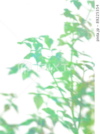 絵の具の斑を溶け込ませた、若葉のシルエット 89225354